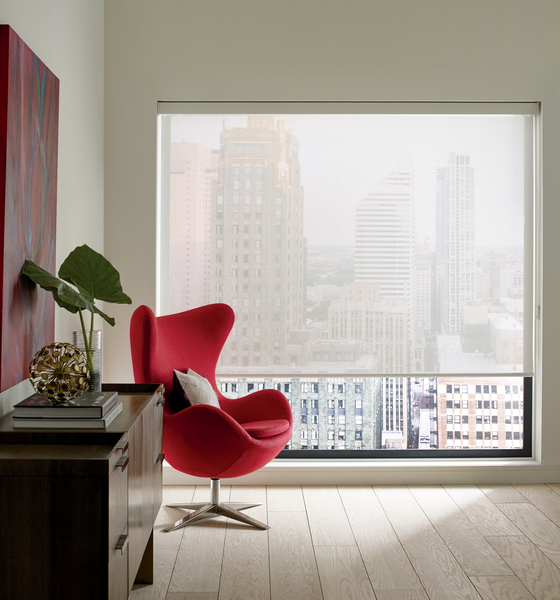 Hunter Douglas Shades