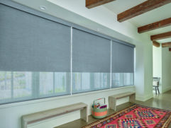Hunter Douglas Window Blinds Power Rise Remote Control Shades