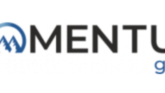 Momentum Group Logo