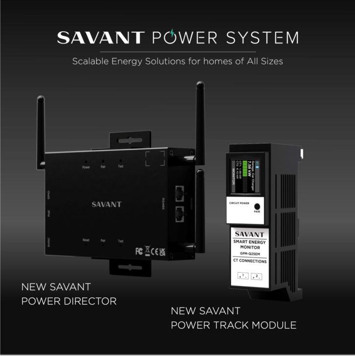 Savant Power Module and Director