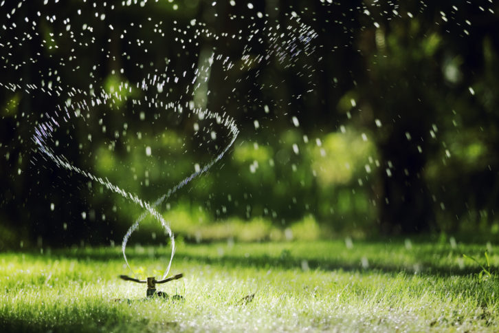 Irrigation – Lawn Sprinkler