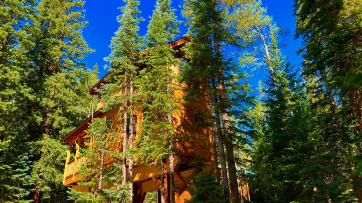 Precision Media - Treehouse - Exterior