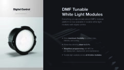 DMF Lighting - DALI for Artefax Line