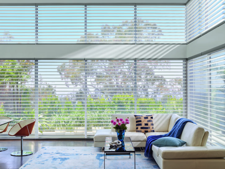 Hunter Douglas Silhouette ClearView shades