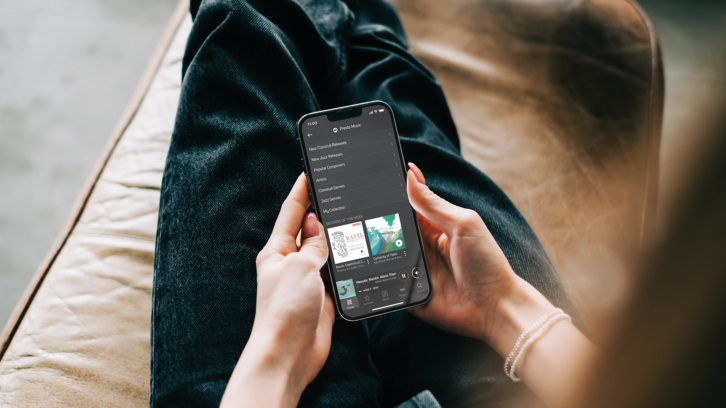 BluOS UI - Portable