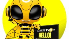 Bizzy, the TVDB2B bee