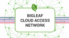 WhyReboot and BigLeaf Partnership