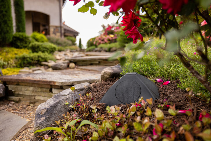 Case Study - The Cliffs at Glassy- Coastal Source - speaker