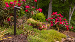 Coastal Source EVO Lighting