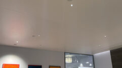 DMF Lighting’s Artafex 1 one-inch architectural downlight at the company's Lightapalooza 2026 booth.