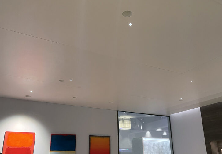 DMF Lighting’s Artafex 1 one-inch architectural downlight at the company's Lightapalooza 2026 booth.