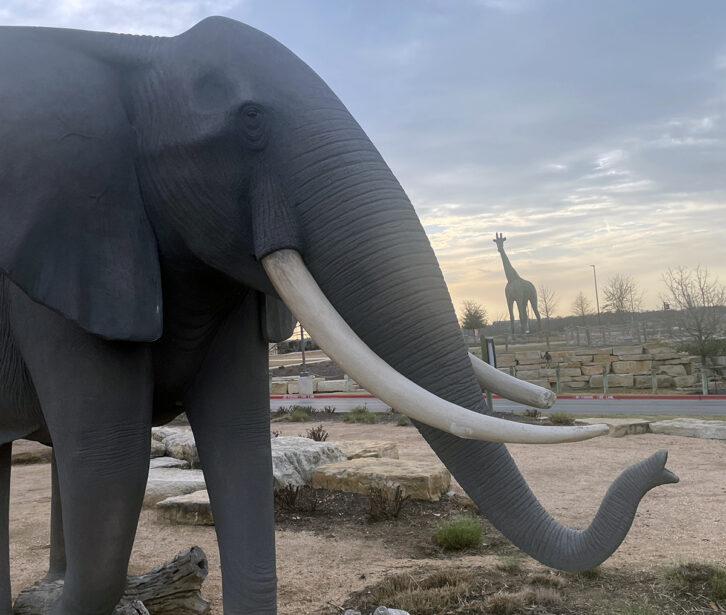 A guardian elephant and giraffe outside the Kalahari Resort & Convention Center in Round Rock, Texas