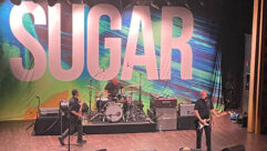 Sugar at Webster Hall photo by Tony Savona