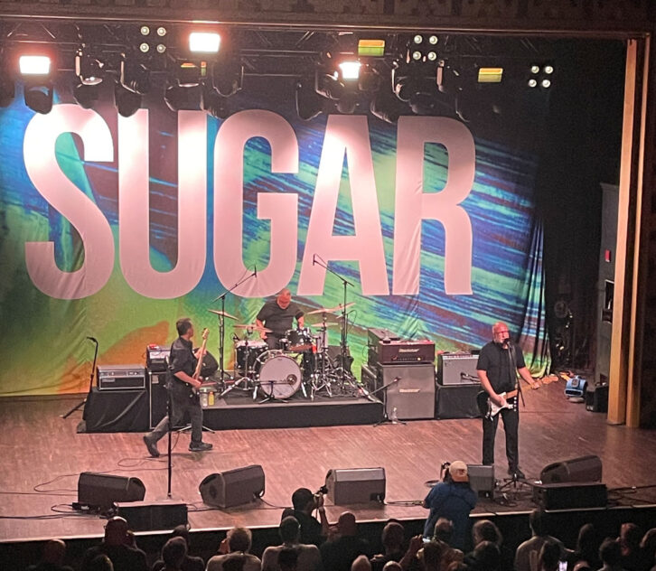 Sugar at Webster Hall photo by Tony Savona