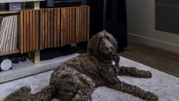 A 2-channel audio setup with turntable and reference-series Meridian Audio DSP8000XE speakers is enjoyed by Ed Gilmore and Jennifer Pedraza’s dog, Ollie, at AHT Global - NYC.