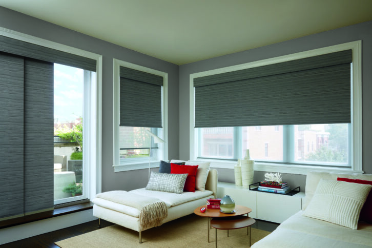 Hunter Douglas - Designer Roller Shades with PowerView - Living Room